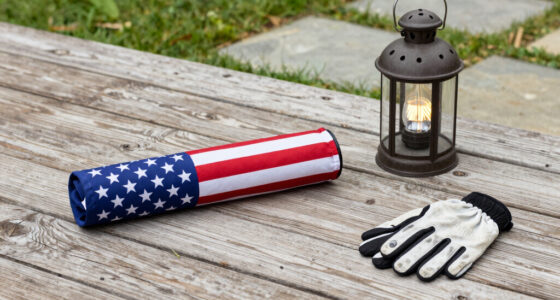13 Best Patriotic Outdoor Safety Lights in 2026