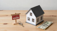 Mapping Homes You Can Buy From The US Government For <$100K