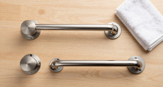 Suction vs Screw-Mounted Grab Bars