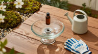 Want To Attract More Backyard Birds? This Easy Bird Bath Bottle Dripper Trick Is All You Need