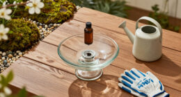 Want To Attract More Backyard Birds? This Easy Bird Bath Bottle Dripper Trick Is All You Need
