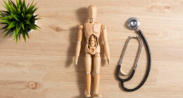 Why The Human Body Has So Many Design Flaws
